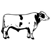 COW020